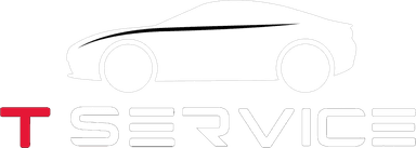 TService logó